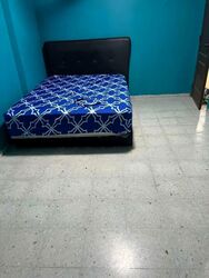 Blk 295 Tampines Street 22 (Tampines), HDB 3 Rooms #581296001